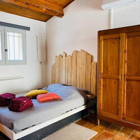 Studio Ile De La Barthelasse A Deux Pas Du Centre Αβινιόν Εξωτερικό φωτογραφία