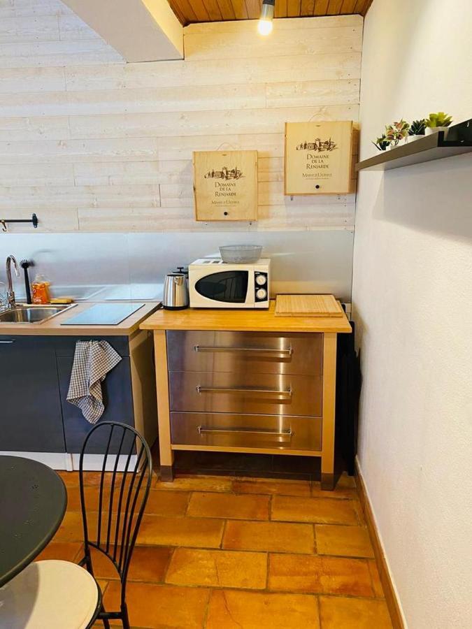 Studio Ile De La Barthelasse A Deux Pas Du Centre Αβινιόν Εξωτερικό φωτογραφία