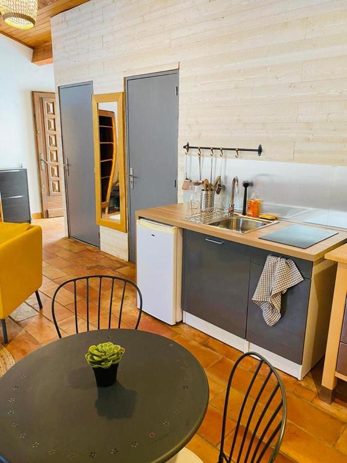 Studio Ile De La Barthelasse A Deux Pas Du Centre Αβινιόν Εξωτερικό φωτογραφία