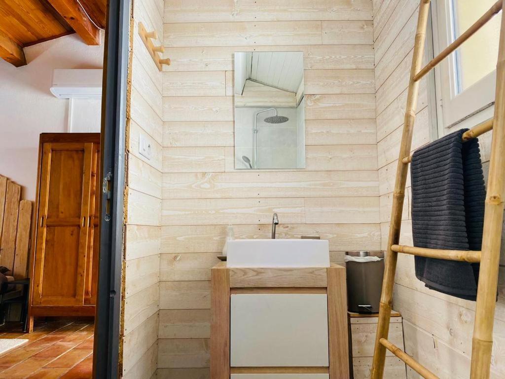 Studio Ile De La Barthelasse A Deux Pas Du Centre Αβινιόν Εξωτερικό φωτογραφία